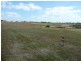 136 DOOLBI DAM ROAD, DOOLBI, Childers QLD 4660