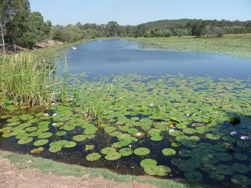Childers QLD 4660