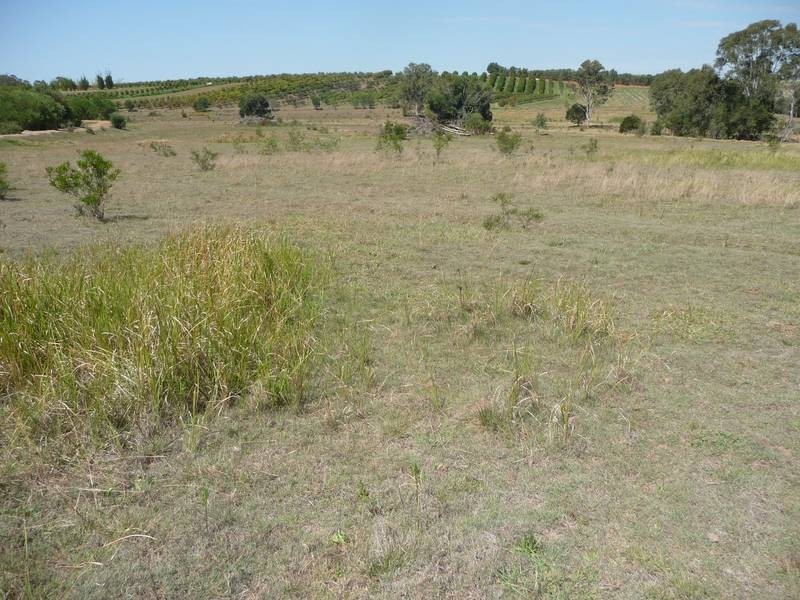 Childers QLD 4660