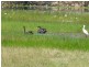 Childers QLD 4660