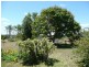 North Isis QLD 4660