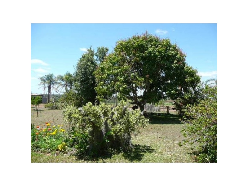 North Isis QLD 4660