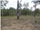 Apple Tree Creek QLD 4660