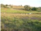 11 ATC Hall Road, Apple Tree Creek QLD 4660