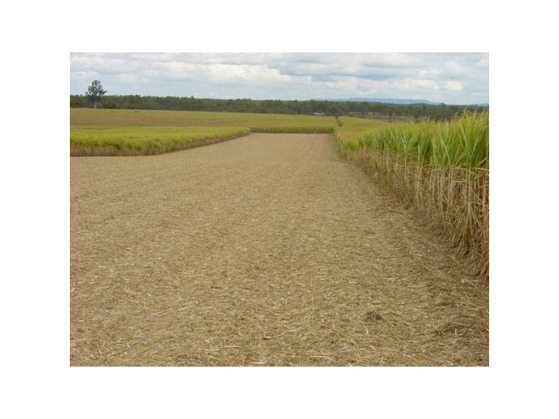 South Isis QLD 4660