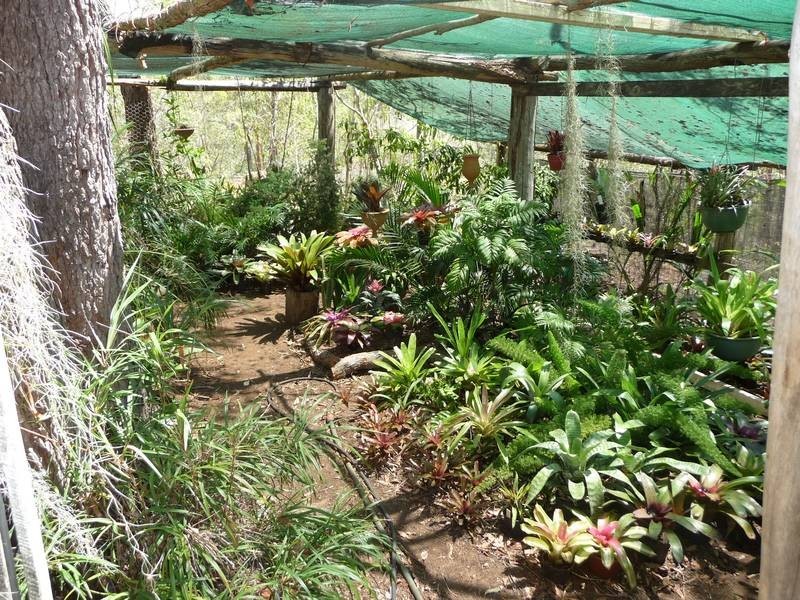 341 PROMISELAND ROAD, Cordalba QLD 4660