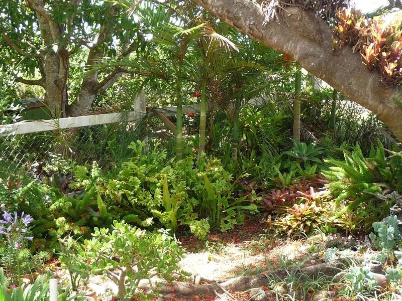 341 PROMISELAND ROAD, Cordalba QLD 4660