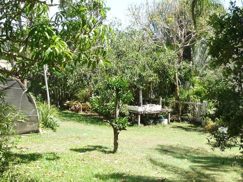 341 PROMISELAND ROAD, Cordalba QLD 4660