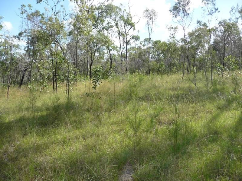 Childers QLD 4660