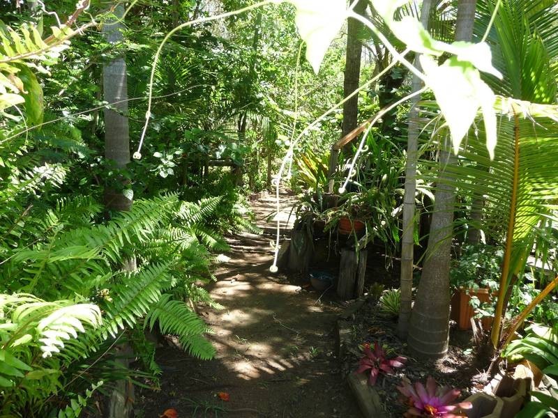 Apple Tree Creek QLD 4660