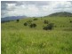 Biggenden QLD 4621