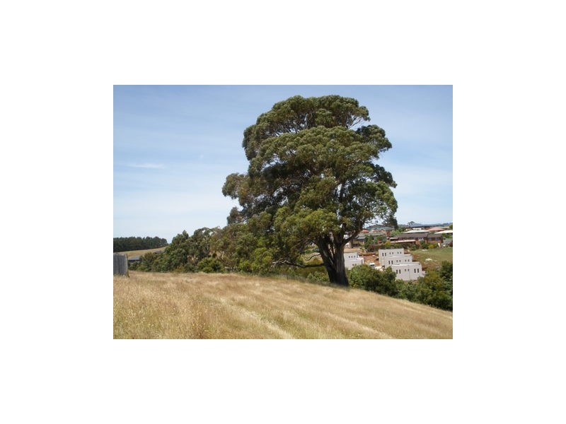 61a Manuka Drive, Burnie TAS 7320