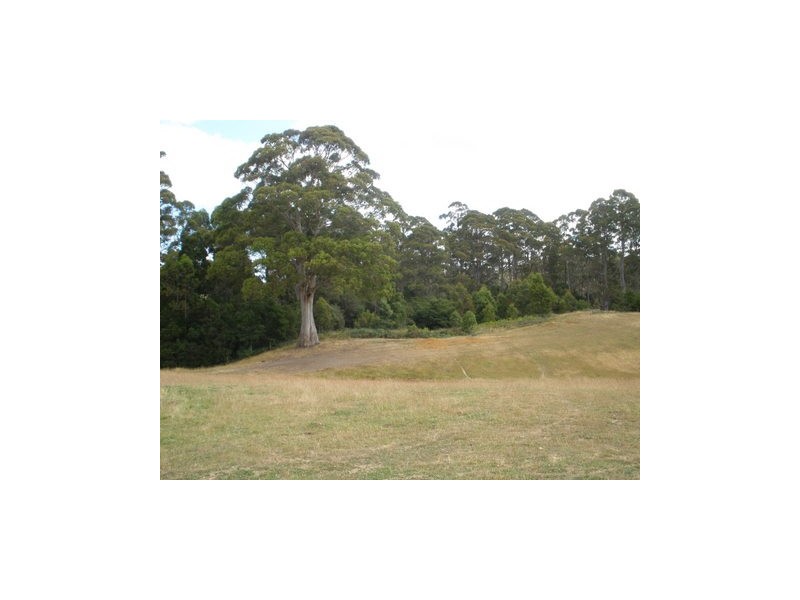 51A Lapoinya Road, Wynyard TAS 7325