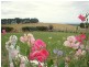 617 Deep Creek Road, Wynyard TAS 7325