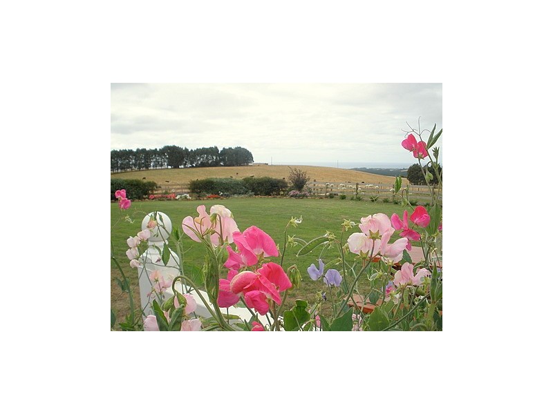 617 Deep Creek Road, Wynyard TAS 7325