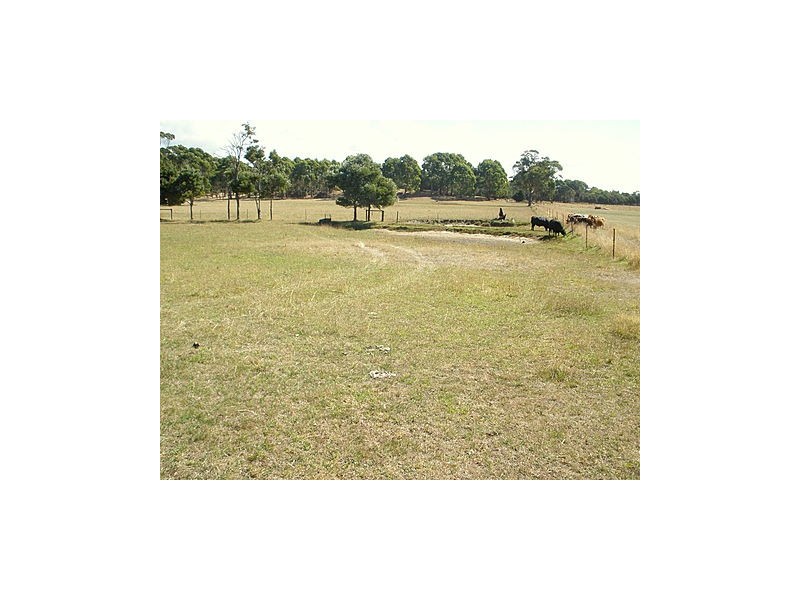 38 Walker Street, Wynyard TAS 7325