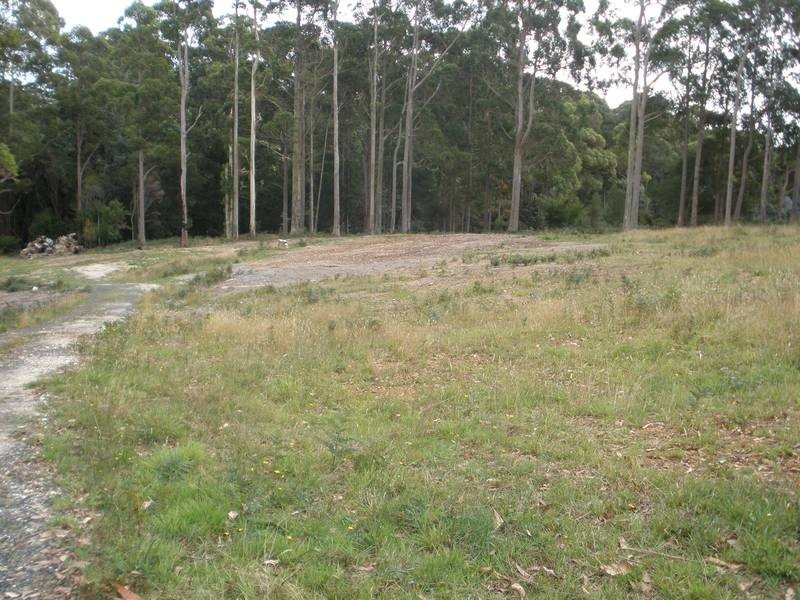 38 Upper Natone Road, Natone TAS 7321