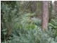 38 Upper Natone Road, Natone TAS 7321