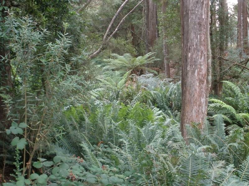 38 Upper Natone Road, Natone TAS 7321