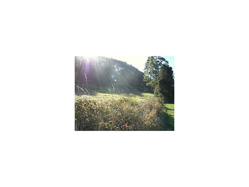 Old Surrey Road, Burnie TAS 7320