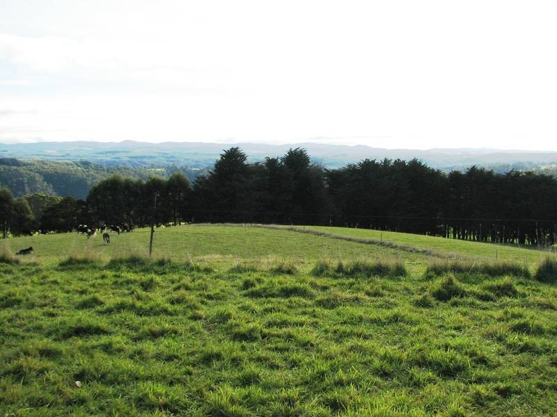 15 Reillys Road, Calder TAS 7325