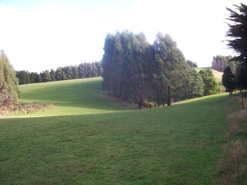 15 Reillys Road, Calder TAS 7325