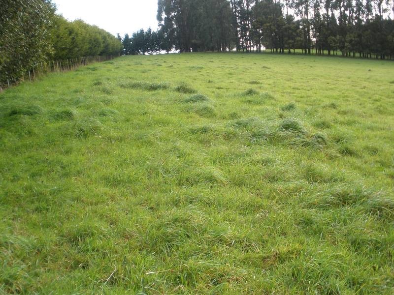 144 Hardy’s Road, Penguin TAS 7316