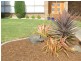 8 Hambledon Avenue, Burnie TAS 7320