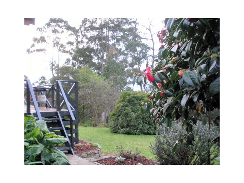 16 Fern Glade Road, Burnie TAS 7320