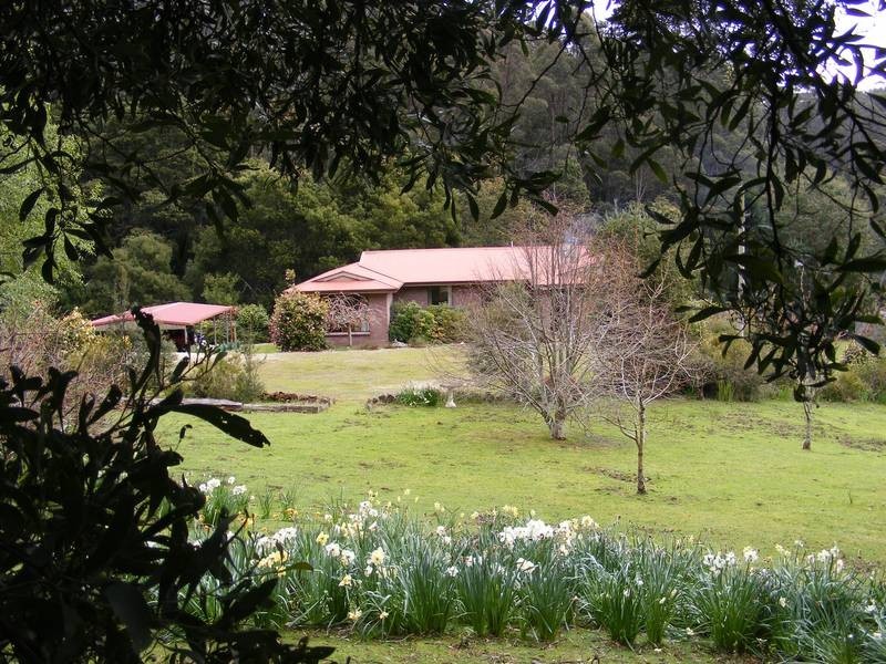 650 Upper Natone Road, Natone TAS 7321