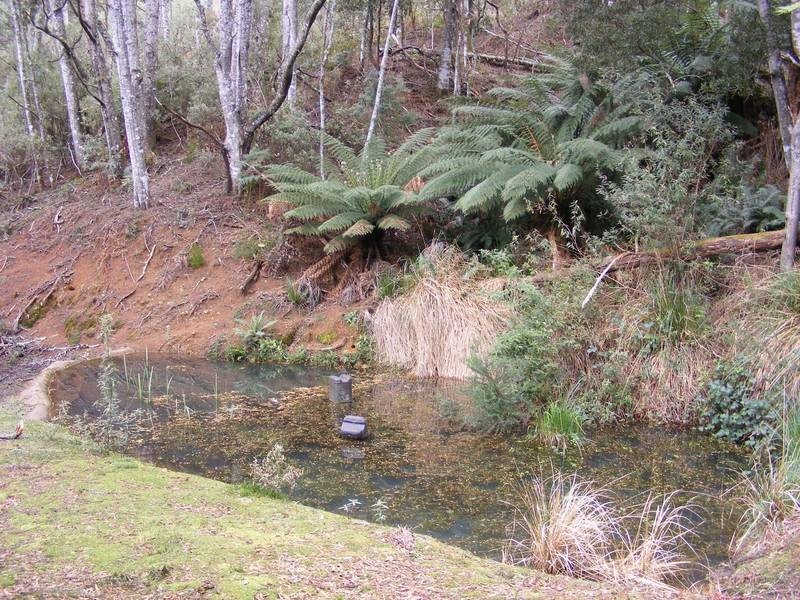 650 Upper Natone Road, Natone TAS 7321