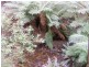 650 Upper Natone Road, Natone TAS 7321