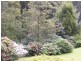 650 Upper Natone Road, Natone TAS 7321