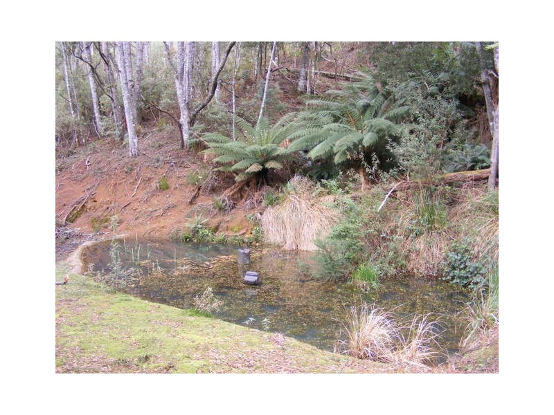 650 Upper Natone Road, Natone TAS 7321
