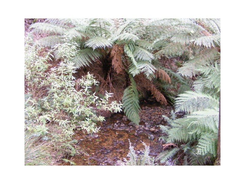 650 Upper Natone Road, Natone TAS 7321