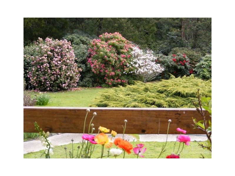 650 Upper Natone Road, Natone TAS 7321