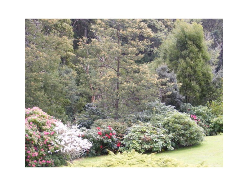 650 Upper Natone Road, Natone TAS 7321