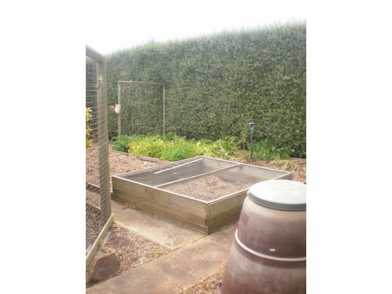 43 Halstead Street, Burnie TAS 7320