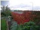 303 Bass Highway, Burnie TAS 7320