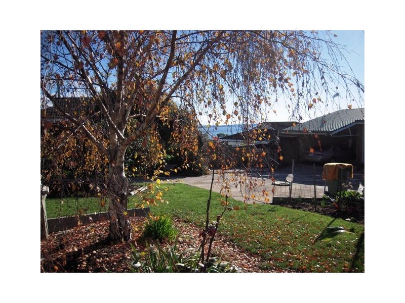 303 Bass Highway, Ocean Vista TAS 7320