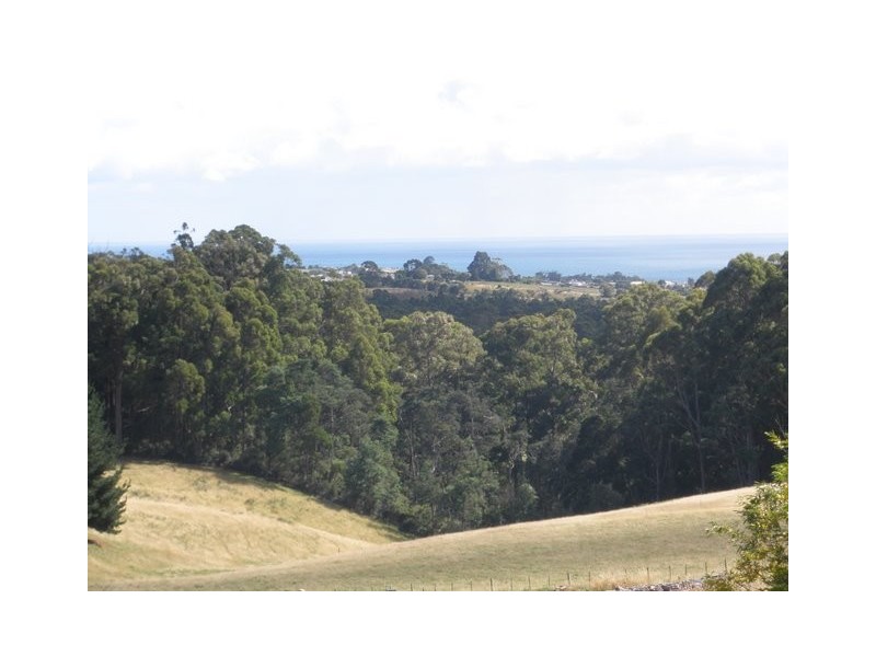 20 Crawford Road, Penguin TAS 7316