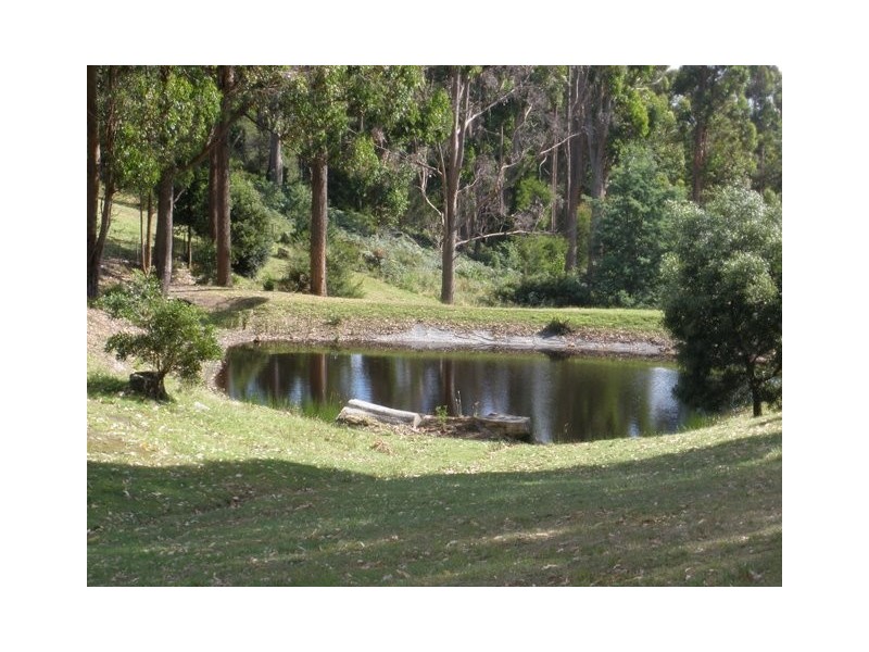 20 Crawford Road, Penguin TAS 7316