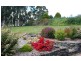 20 Crawford Road, Penguin TAS 7316