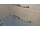 7 Ann Place, Burnie TAS 7320