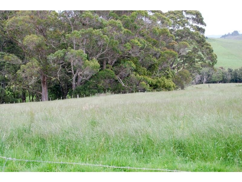 1624 Oldina Road, Oldina TAS 7325