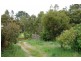 1624 Oldina Road, Oldina TAS 7325