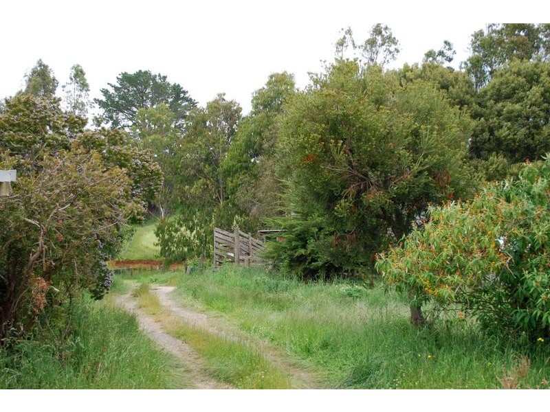 1624 Oldina Road, Oldina TAS 7325