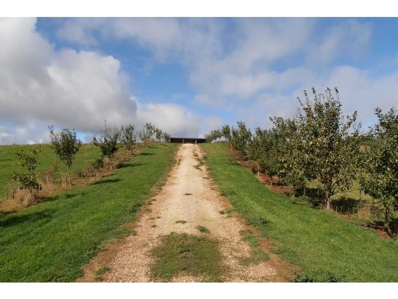 423 Upper Natone Road, Upper Natone TAS 7321