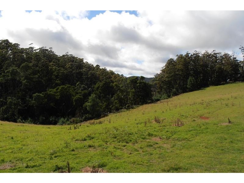 423 Upper Natone Road, Upper Natone TAS 7321