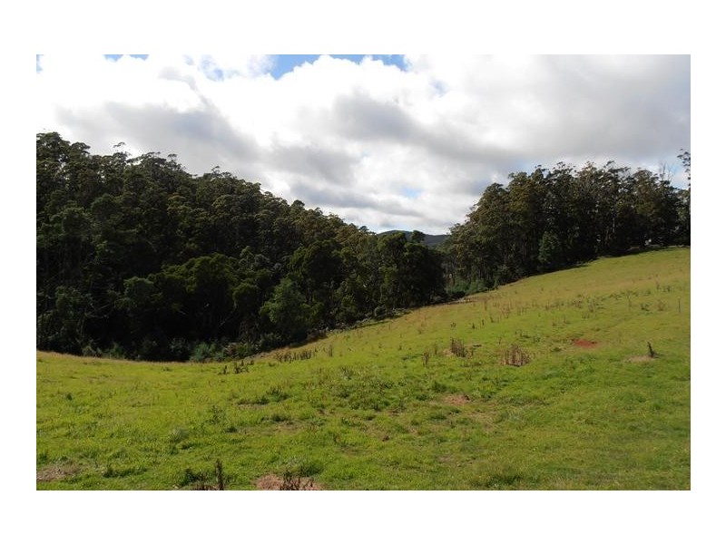 423 Upper Natone Road, Natone TAS 7321